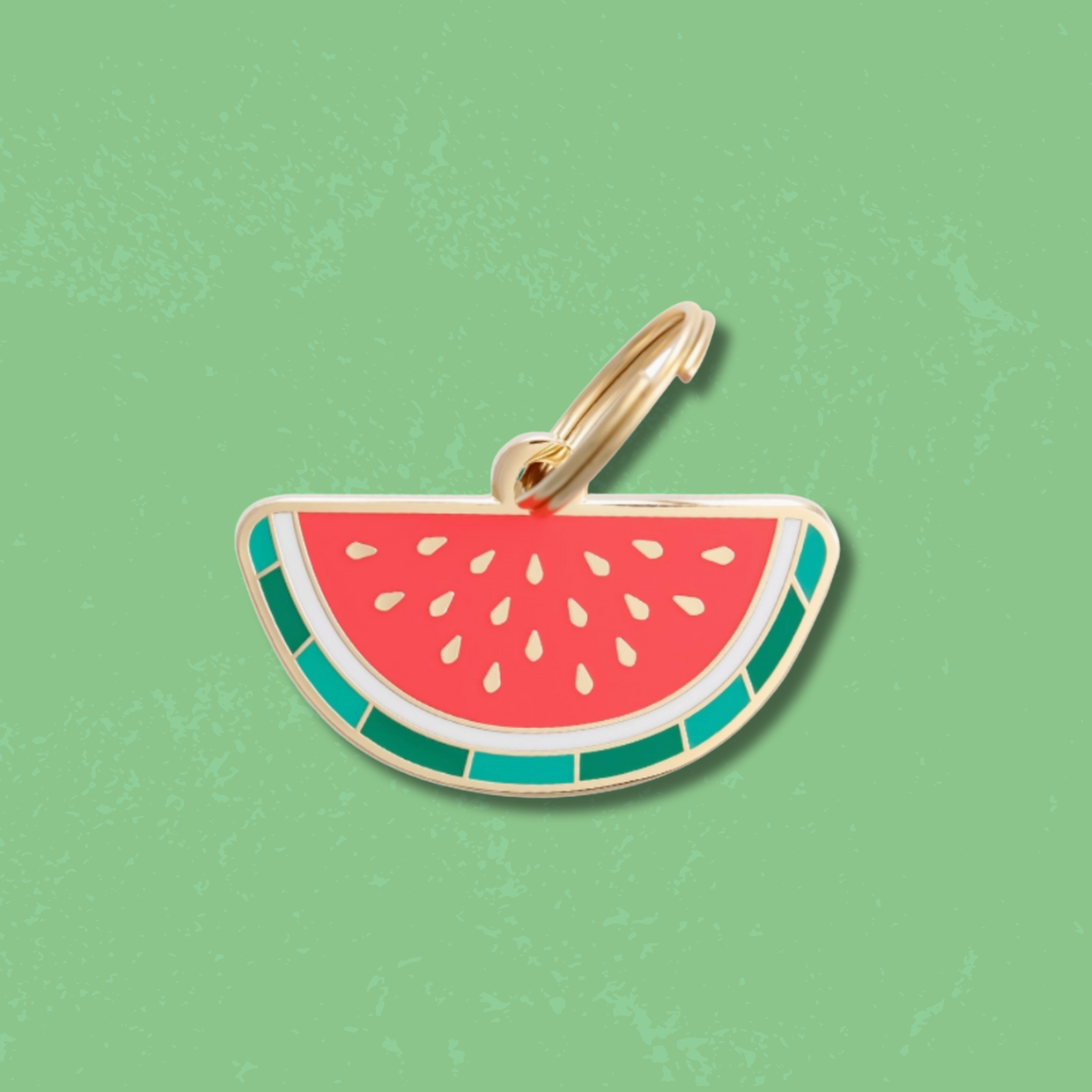 Watermelon Pet Id Tag