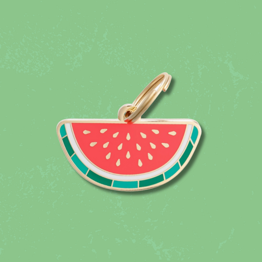 Watermelon Pet Id Tag