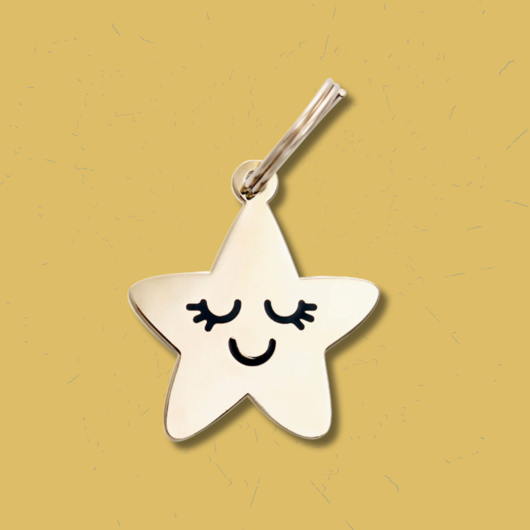 Star Pet Id Tag