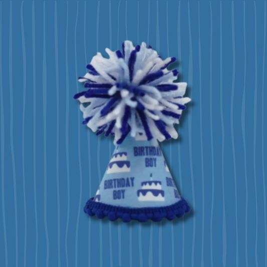 Blue Birthday Boy Hats