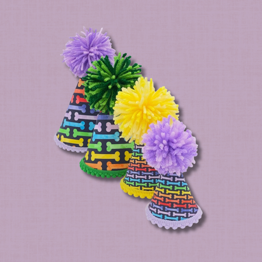 Rainbow Dog Bone Birthday Party  Hat