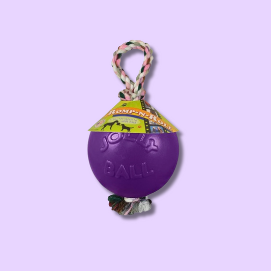 Romp-N-Roll Dog Toy 6'' Purple