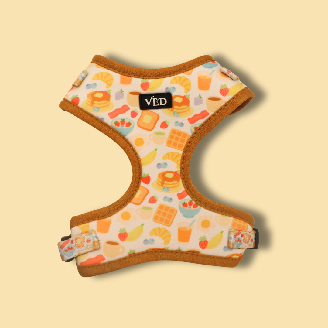 Brunch Harness