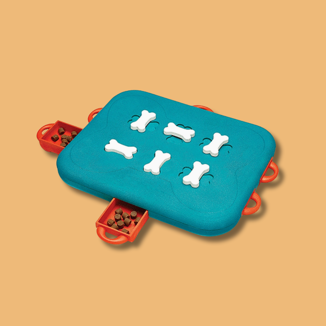 Outward Hound Dog Game - Dog Casino