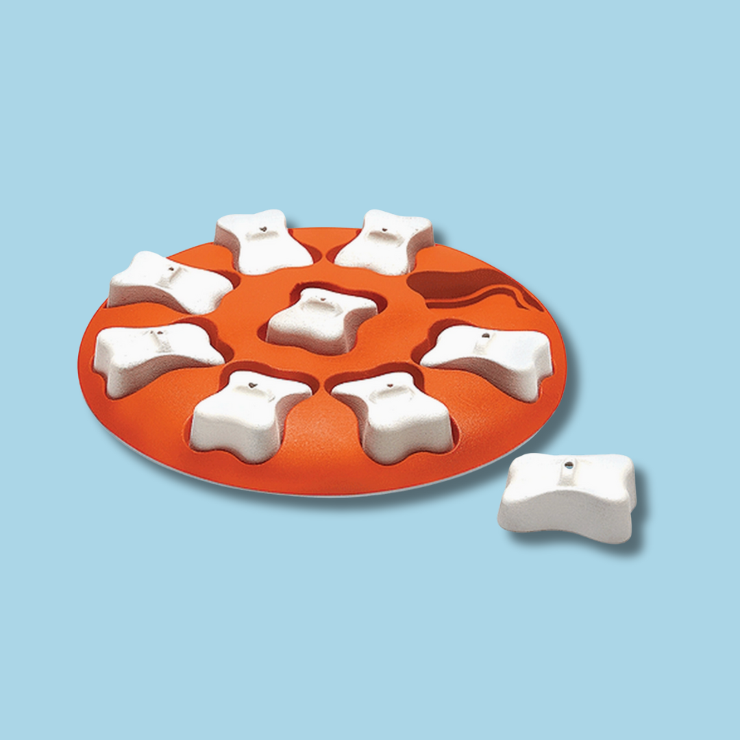 Outward Hound Dog Game - Dog Smart