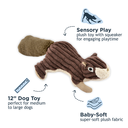 Tall Tails Squirrel with Squeaker Dog Toy