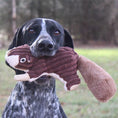 Load image into Gallery viewer, Tall Tails Squirrel with Squeaker Dog Toy
