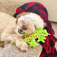 Load image into Gallery viewer, Stuffless Lizard Squeaker Dog Toy

