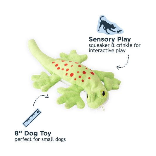 Stuffless Lizard Squeaker Dog Toy