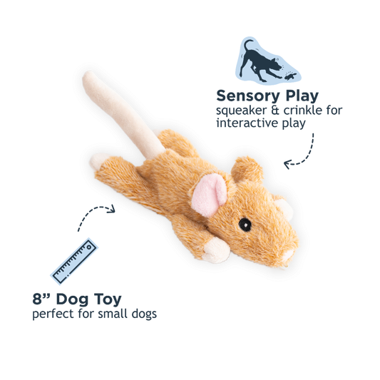 Stuffless Mouse Squeaker Dog Toy